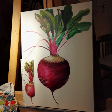 cours de peinture adulte, radis