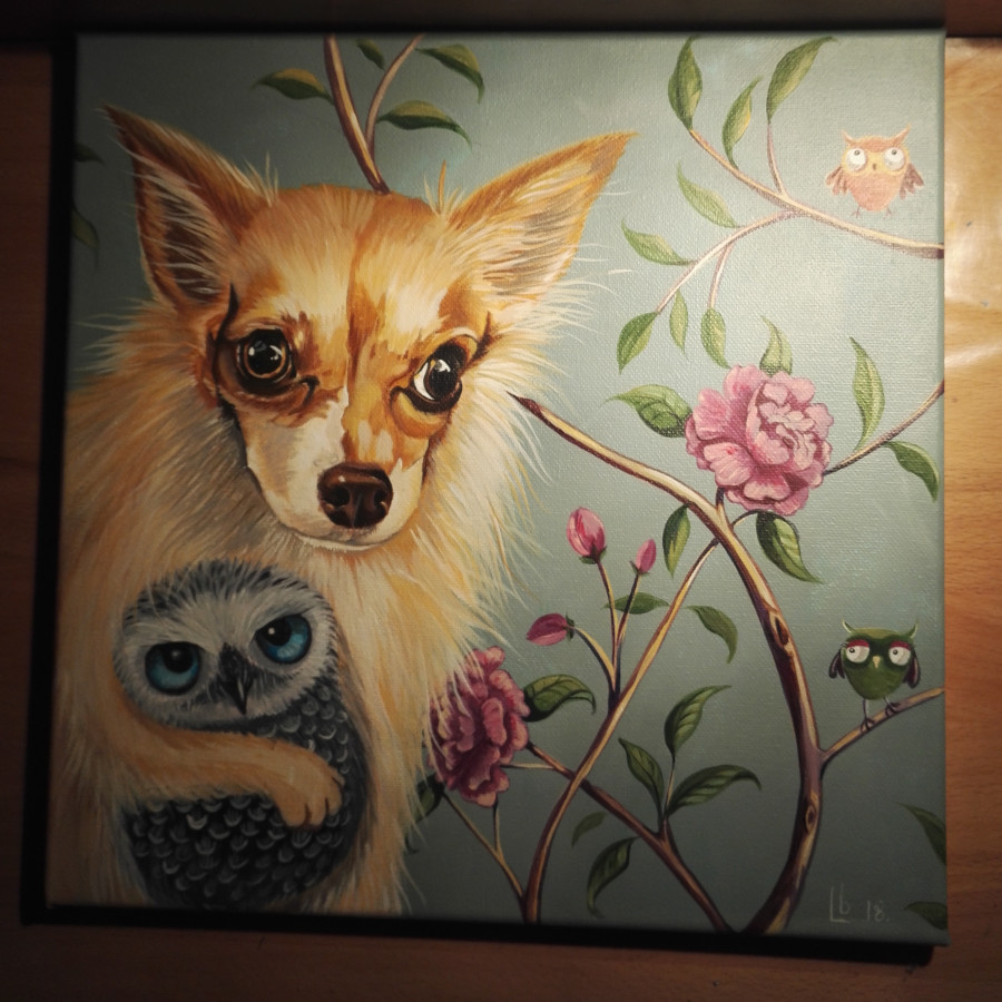 Portrait Chihuahua